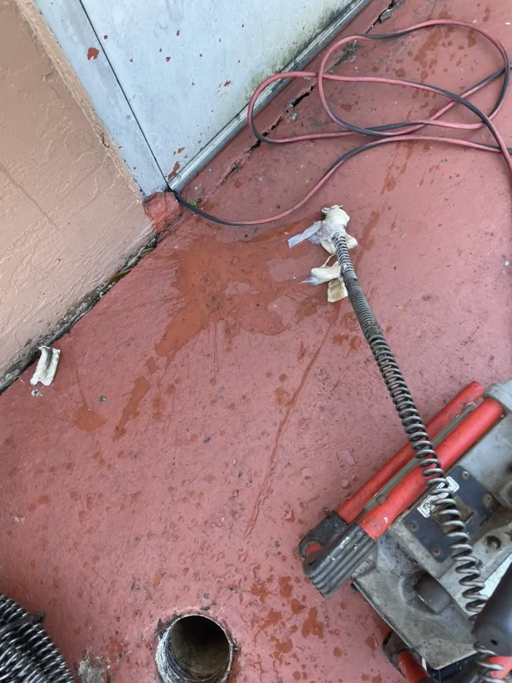 Top-rated drain cleaning experts serving Miami Lakes, FL - Pros Plumbing Services