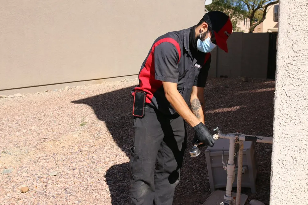 Slide of ProSkill Services