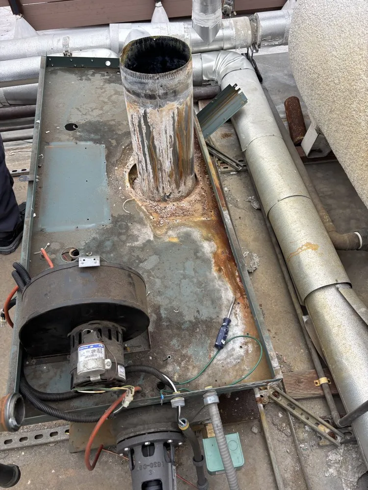 Affordable plumbing repair in San Fernando Valley, CA by Protech Plumbing & Rooter