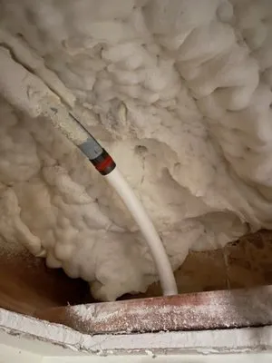 Protech Plumbing Logo