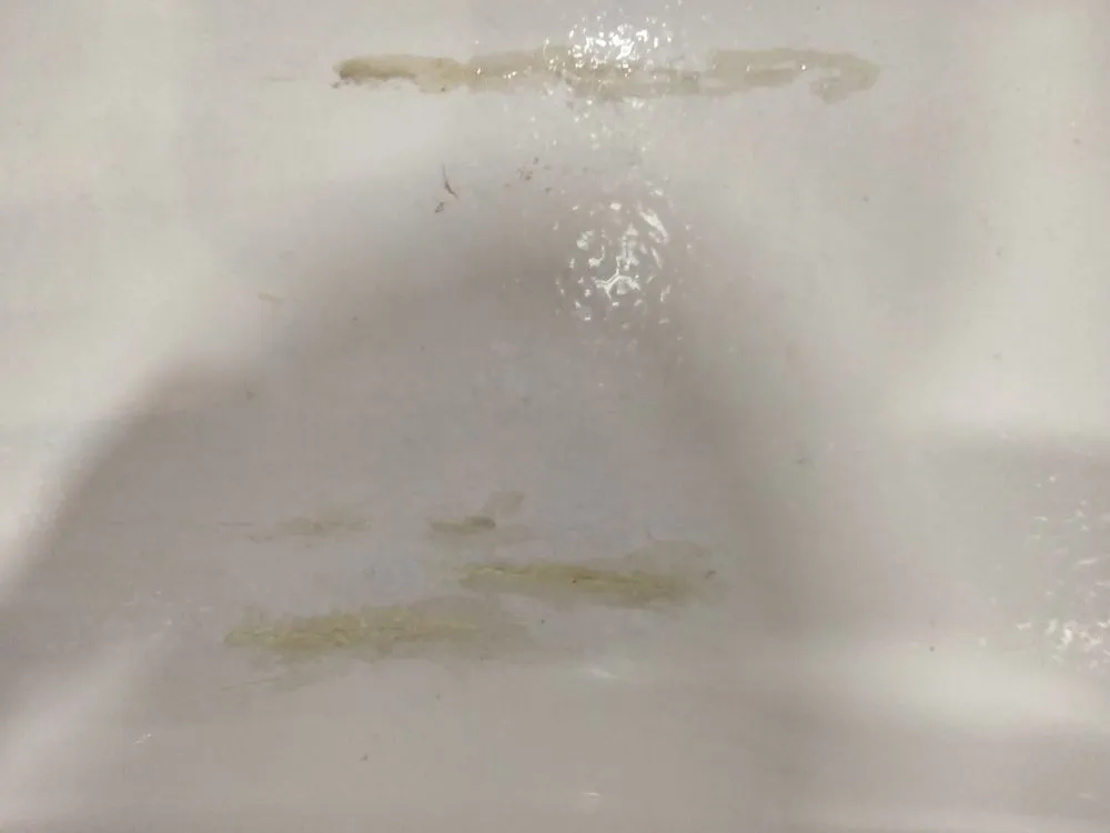 Slide of Protech Refinishing