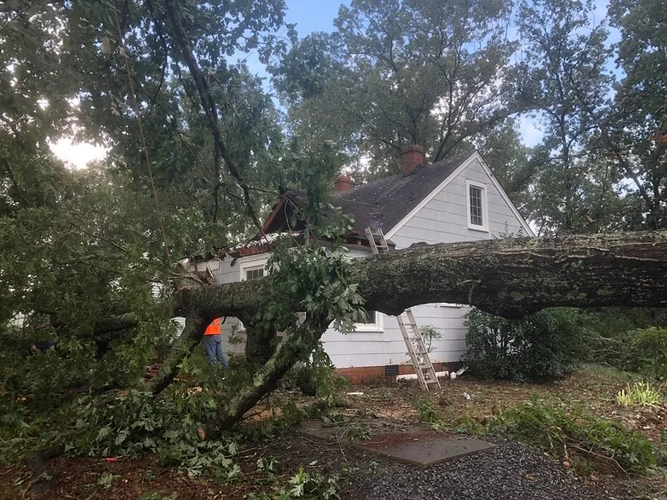 Slide of Providence Restoration