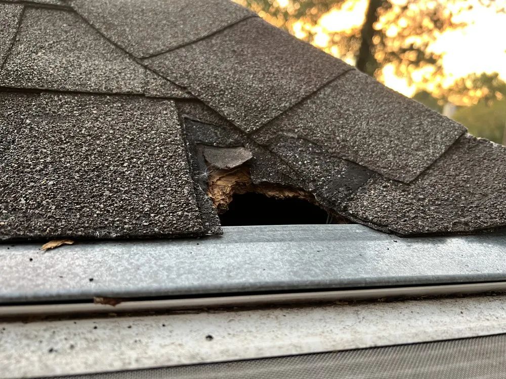 Slide of Prowess Services