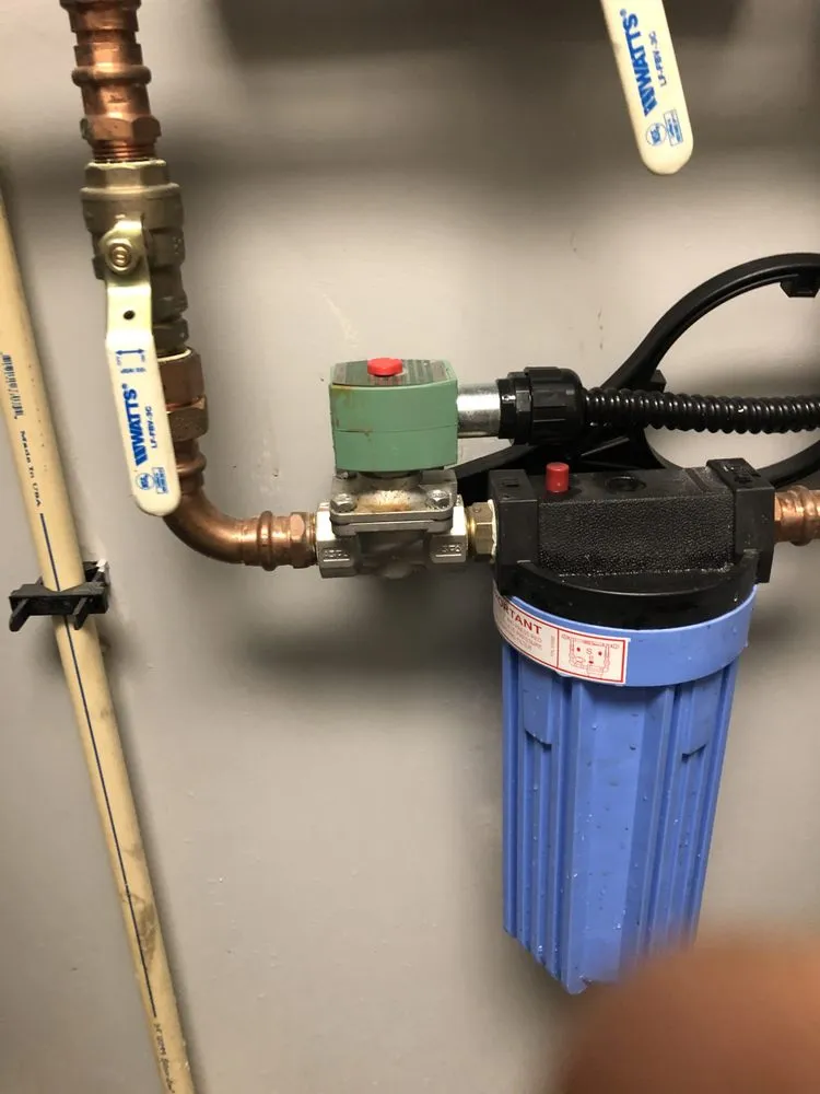 Slide of P’s plumbing