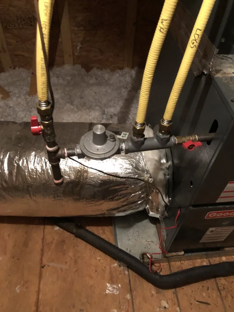 Slide of P’s plumbing