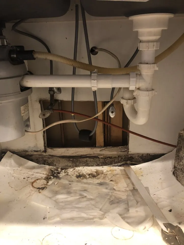 Slide of P’s plumbing