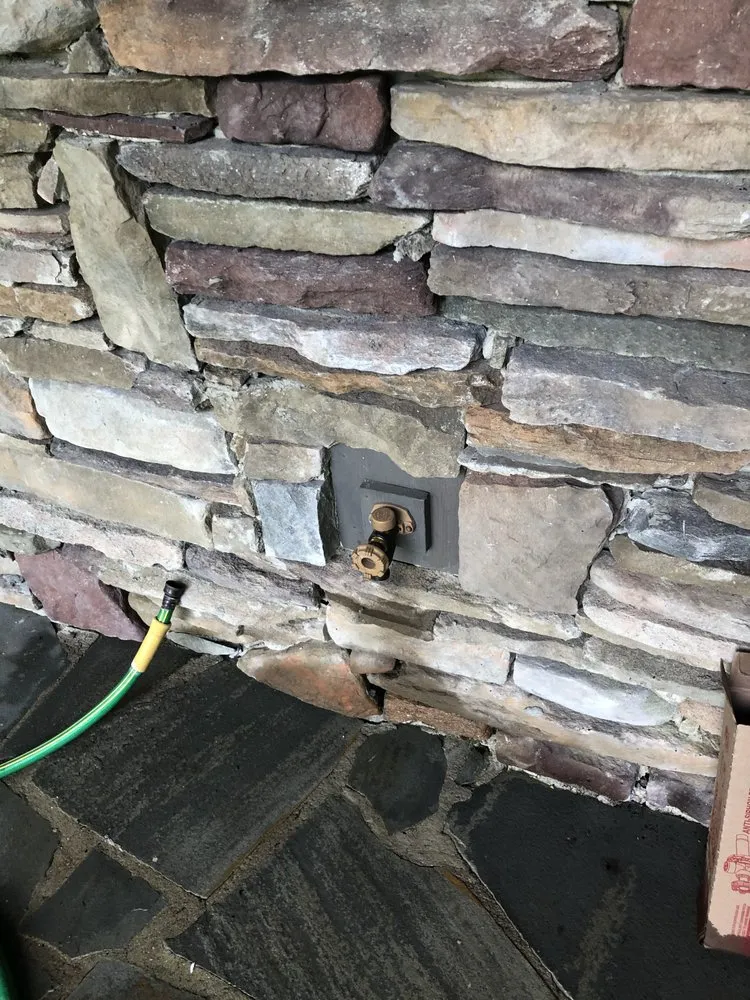 Slide of P’s plumbing