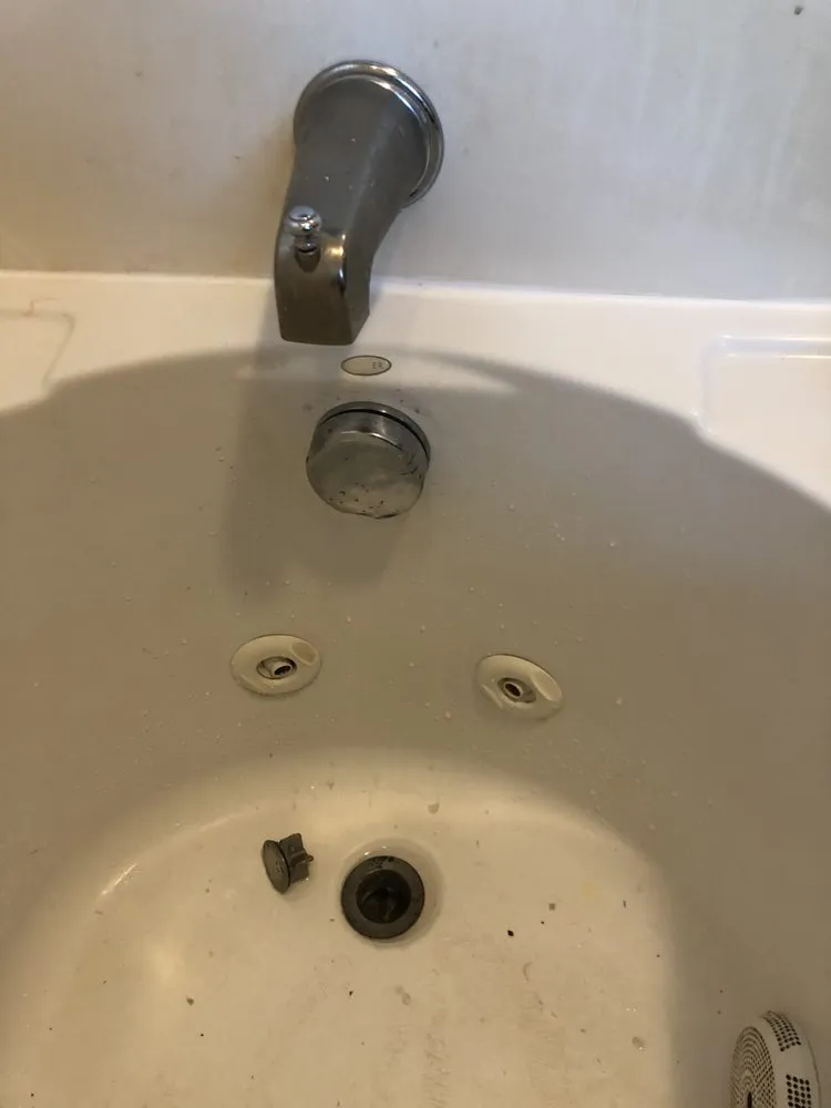 Slide of P’s plumbing