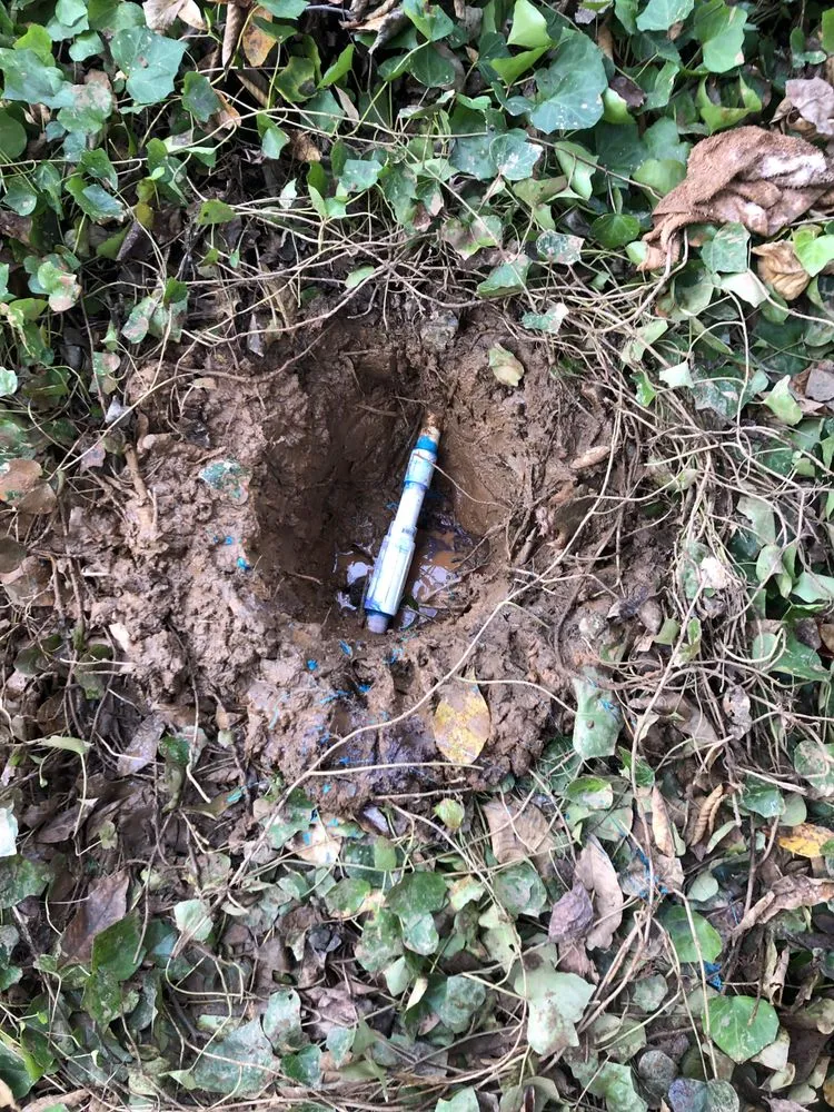 Slide of P’s plumbing