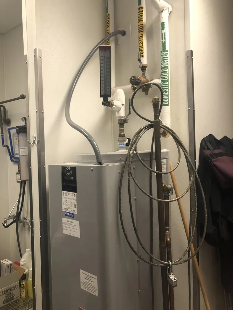 Slide of P’s plumbing