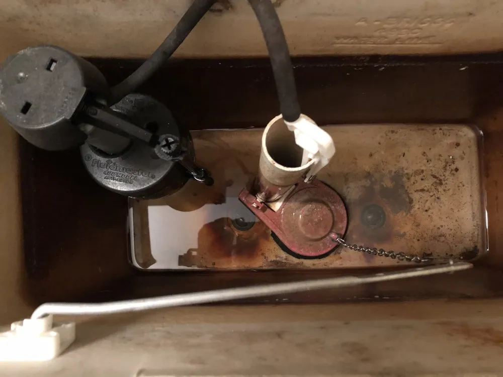 Slide of P’s plumbing