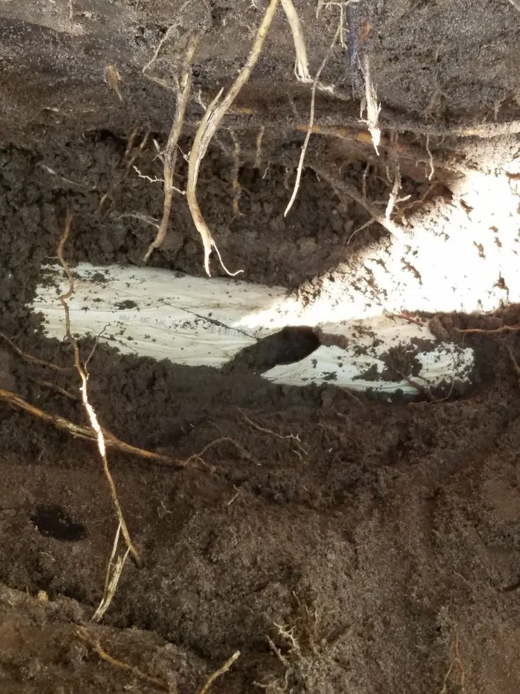 Expert leak detection experts serving Port St. Lucie, FL - PSL Sewer & Drain