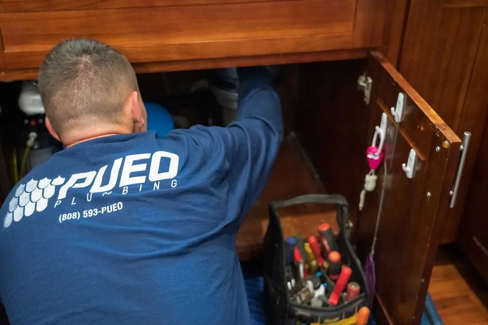 Slide of Pueo Plumbing