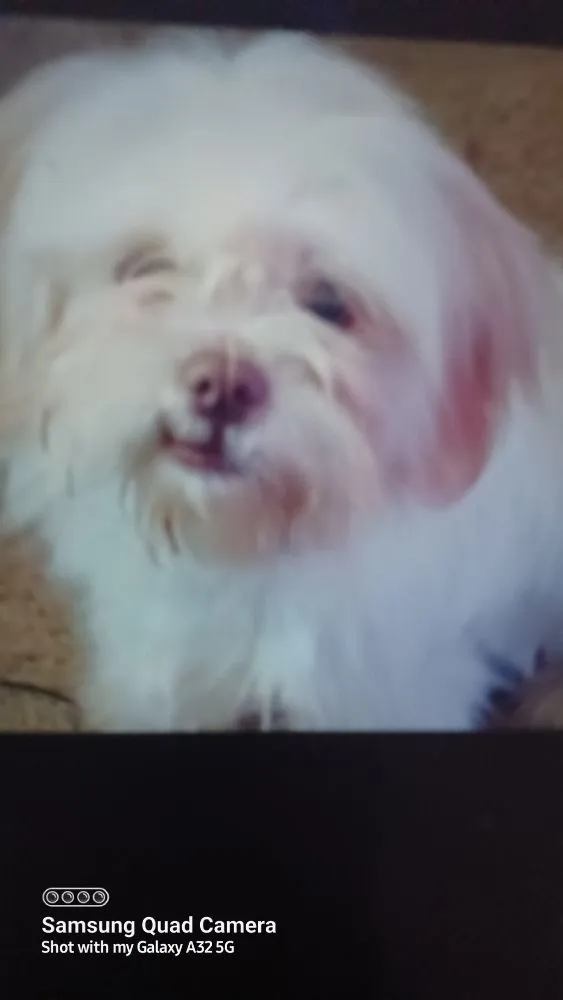 Slide of Pulliam Hvac