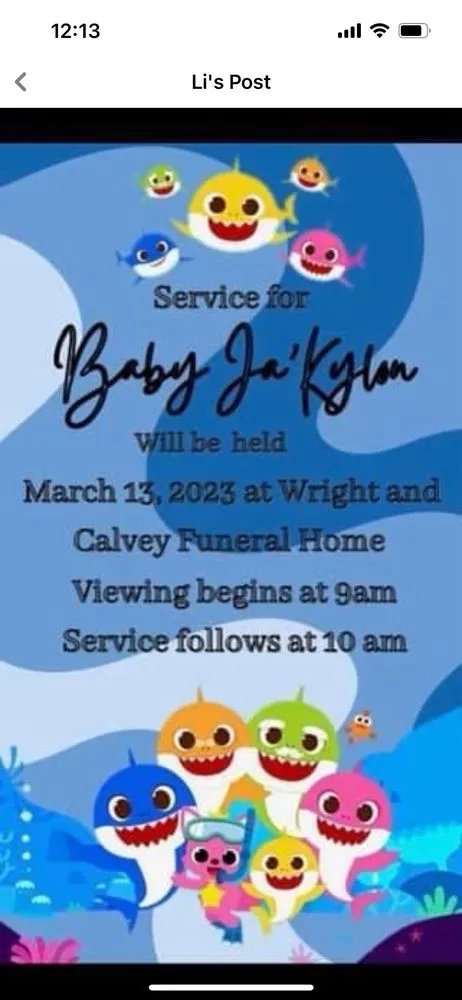 Slide of Puma's Plumbing