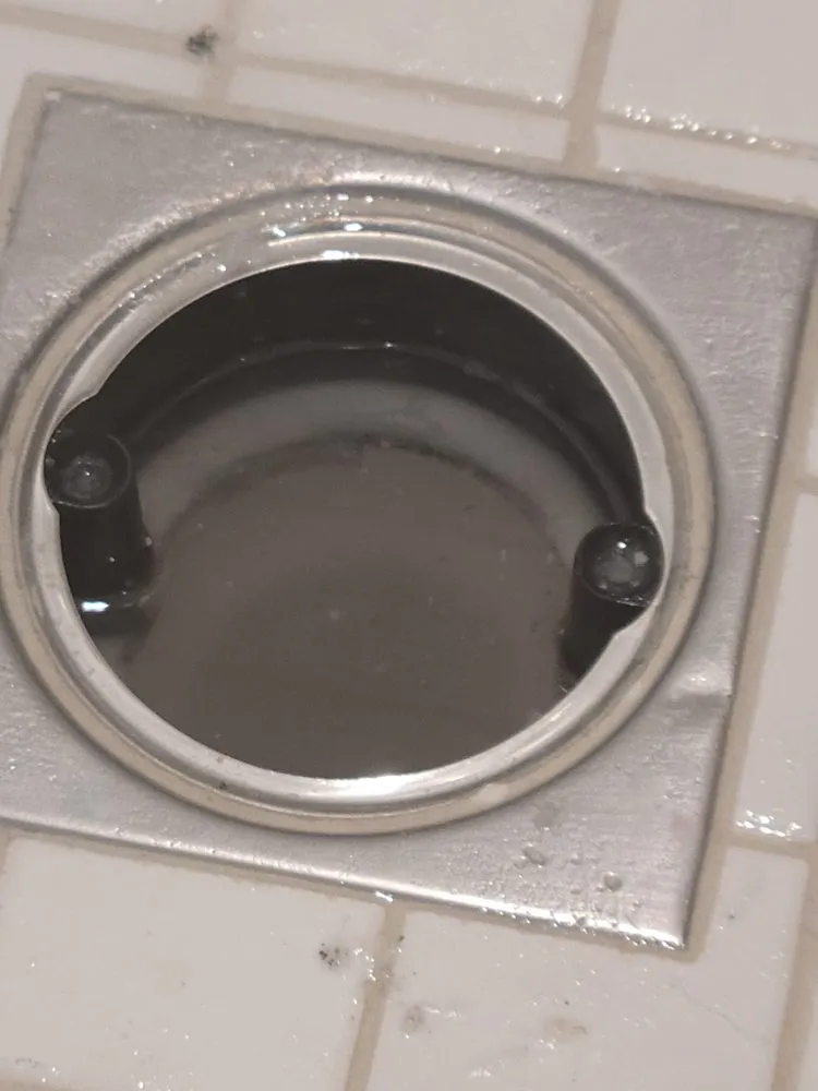 Slide of Punk Rock Plumbing Services