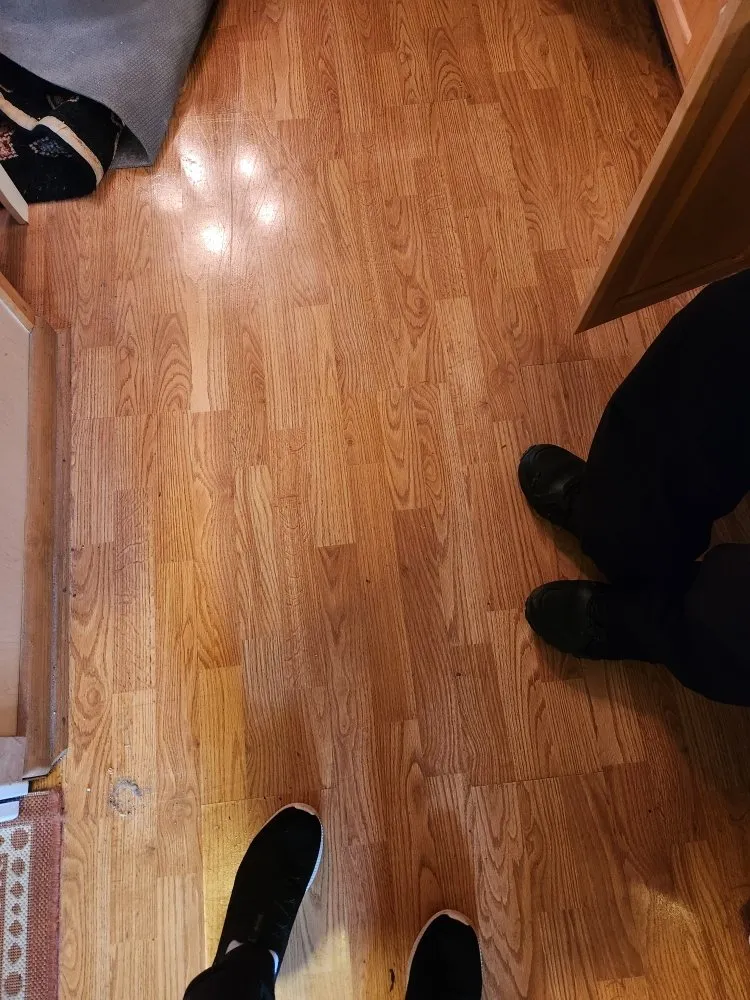 Emergency drain cleaning service in Hull, GA - Punkys Handyman Services