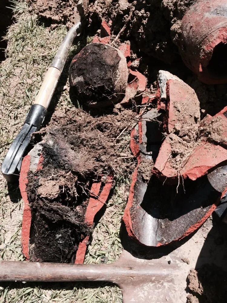 Slide of Purdy Plumbing & Drain