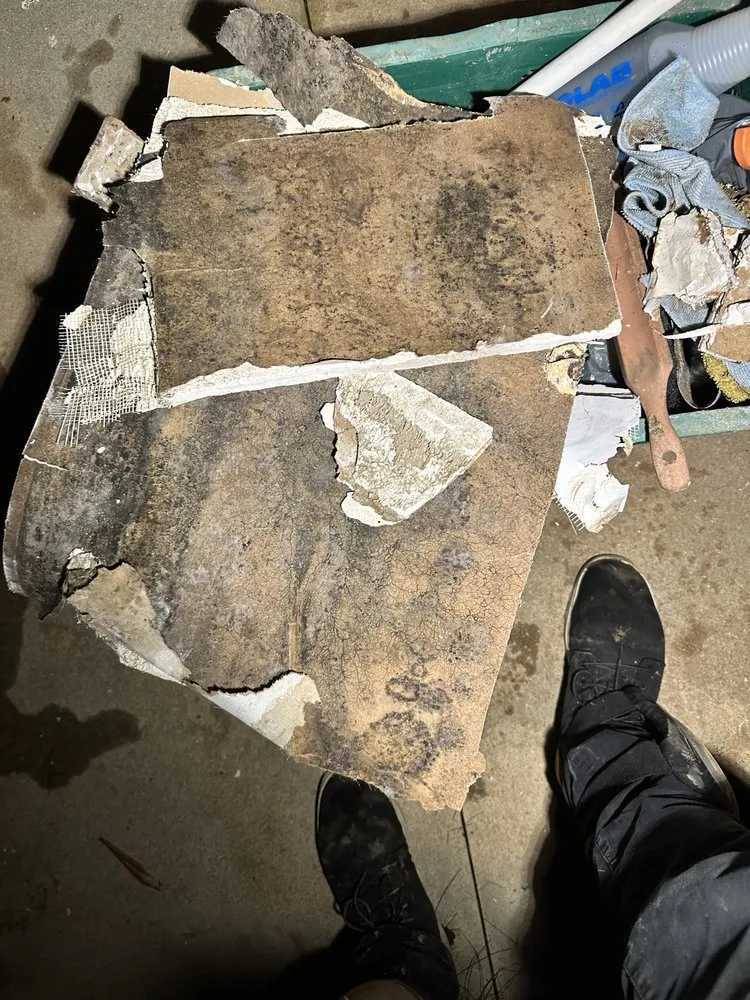 Slide of Pure Planet Plumbing