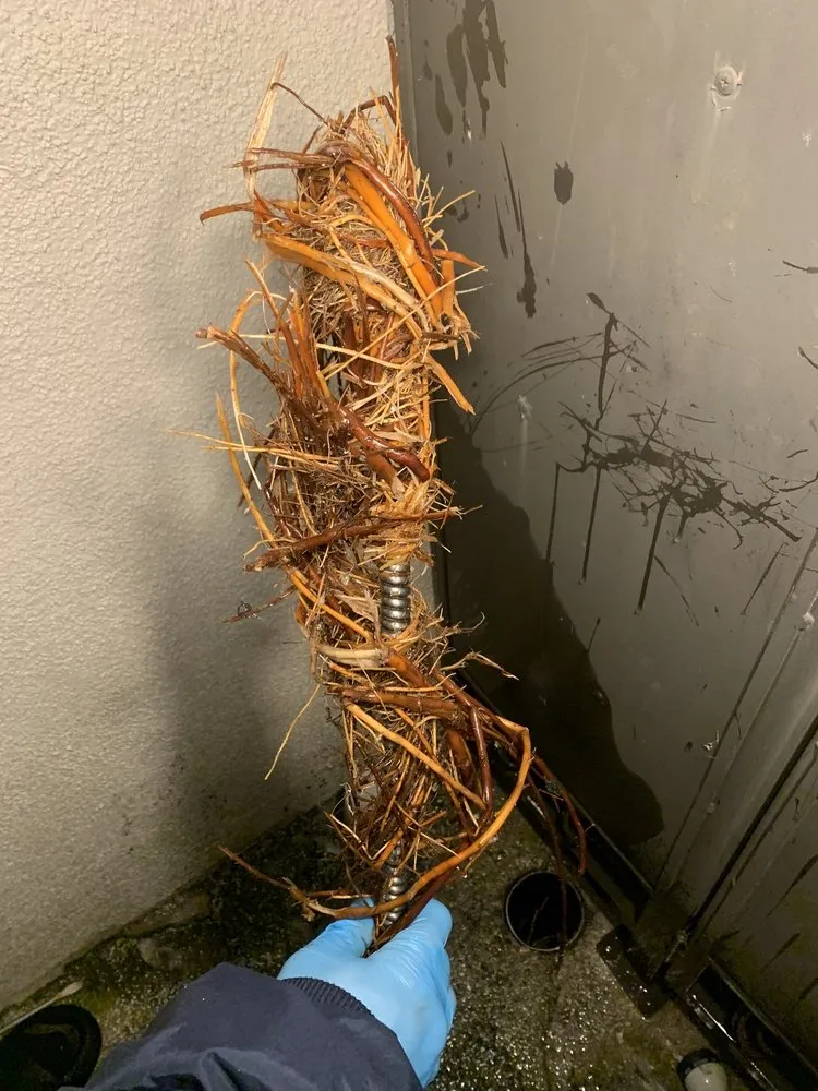 Slide of Pure Planet Plumbing