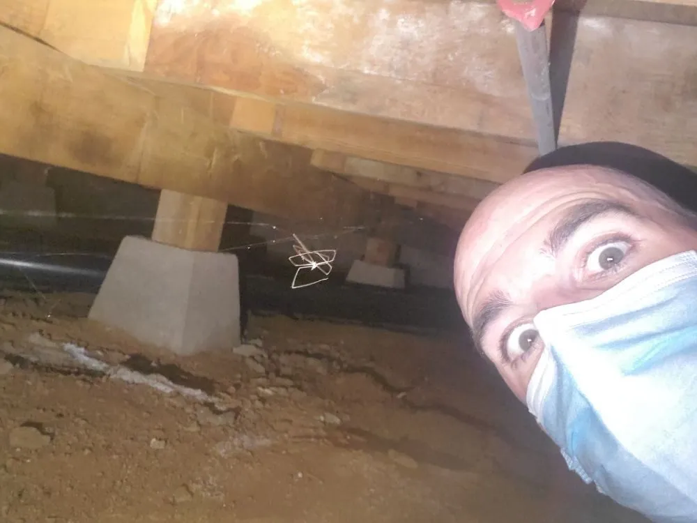 Slide of Pure Plumbing Company