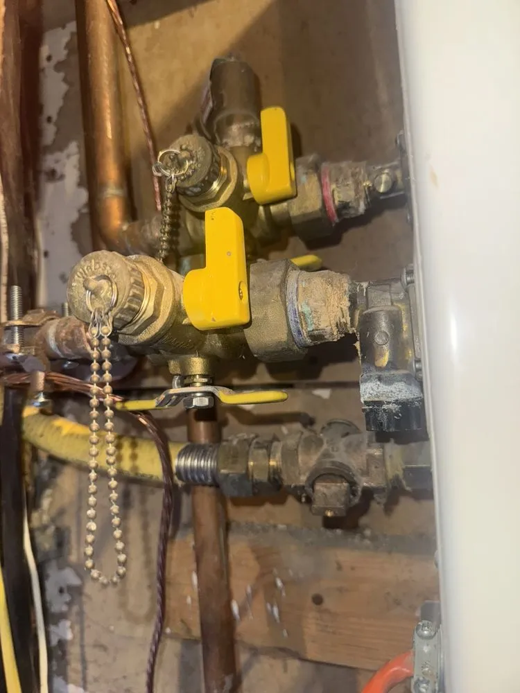 Slide of Purple Bird Plumbing