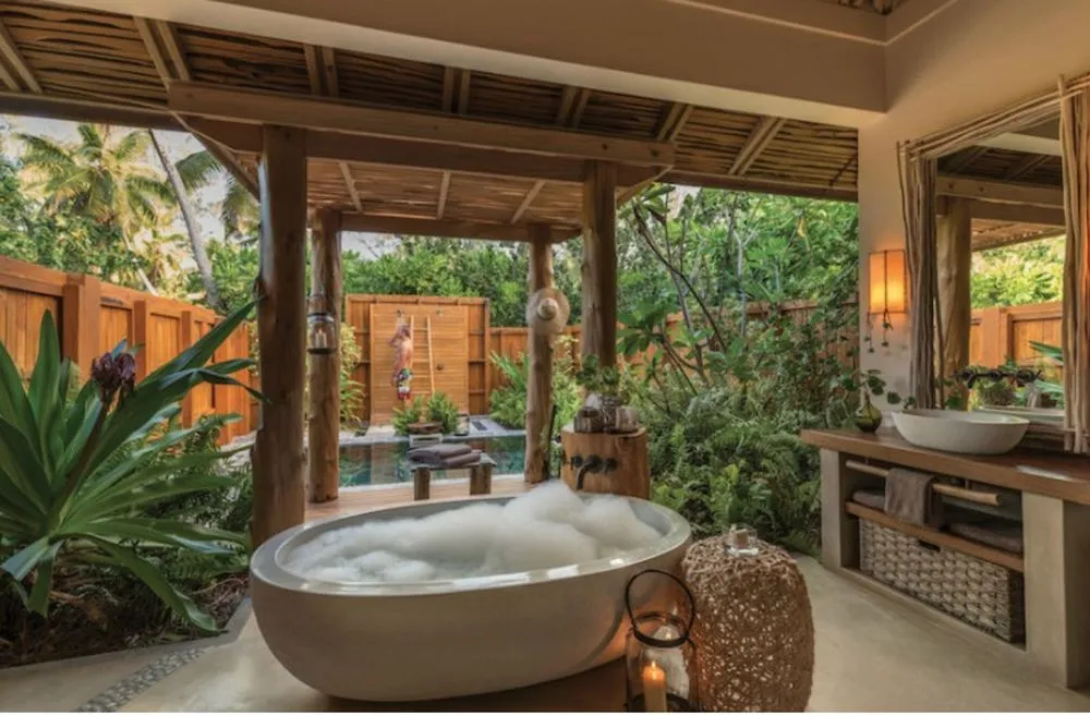 Slide of Purple Bird Plumbing