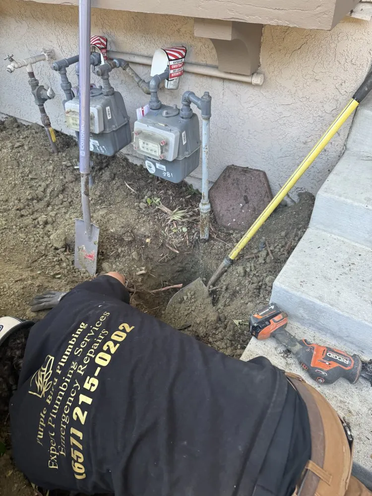 Slide of Purple Bird Plumbing