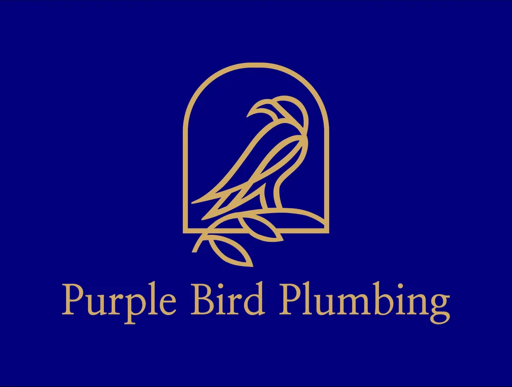 Slide of Purple Bird Plumbing