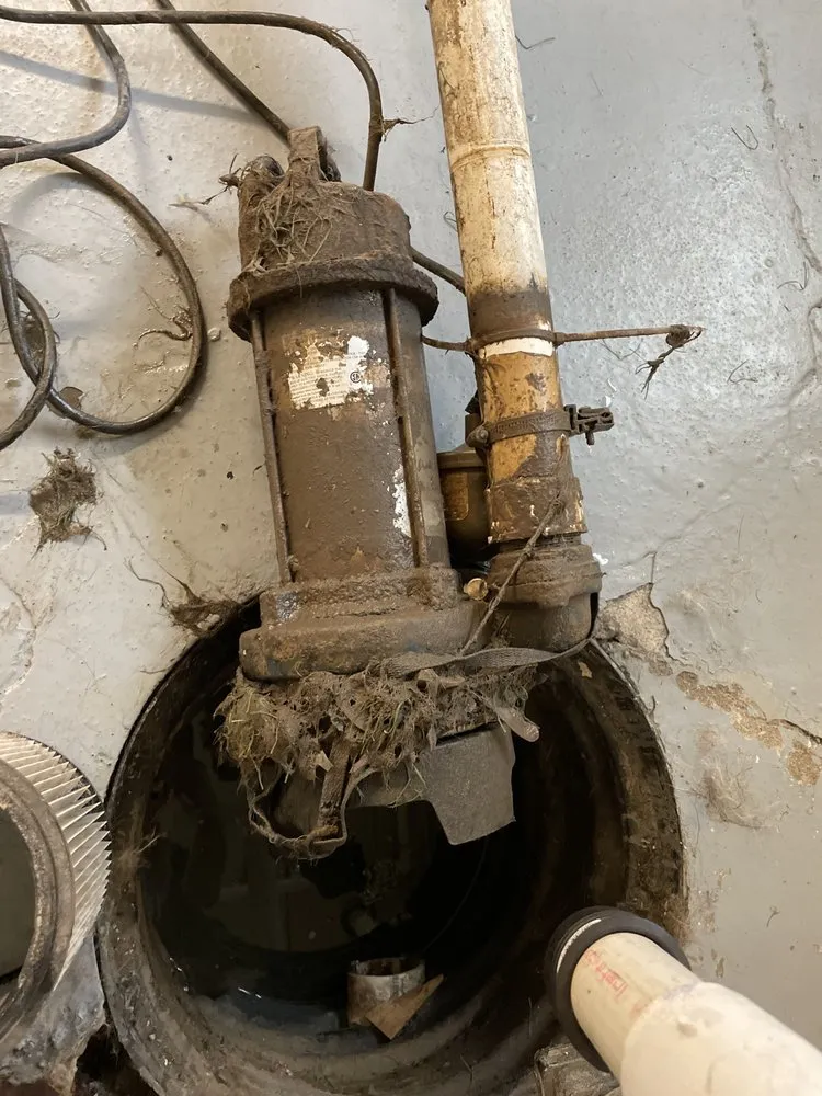 Slide of Purple Drains