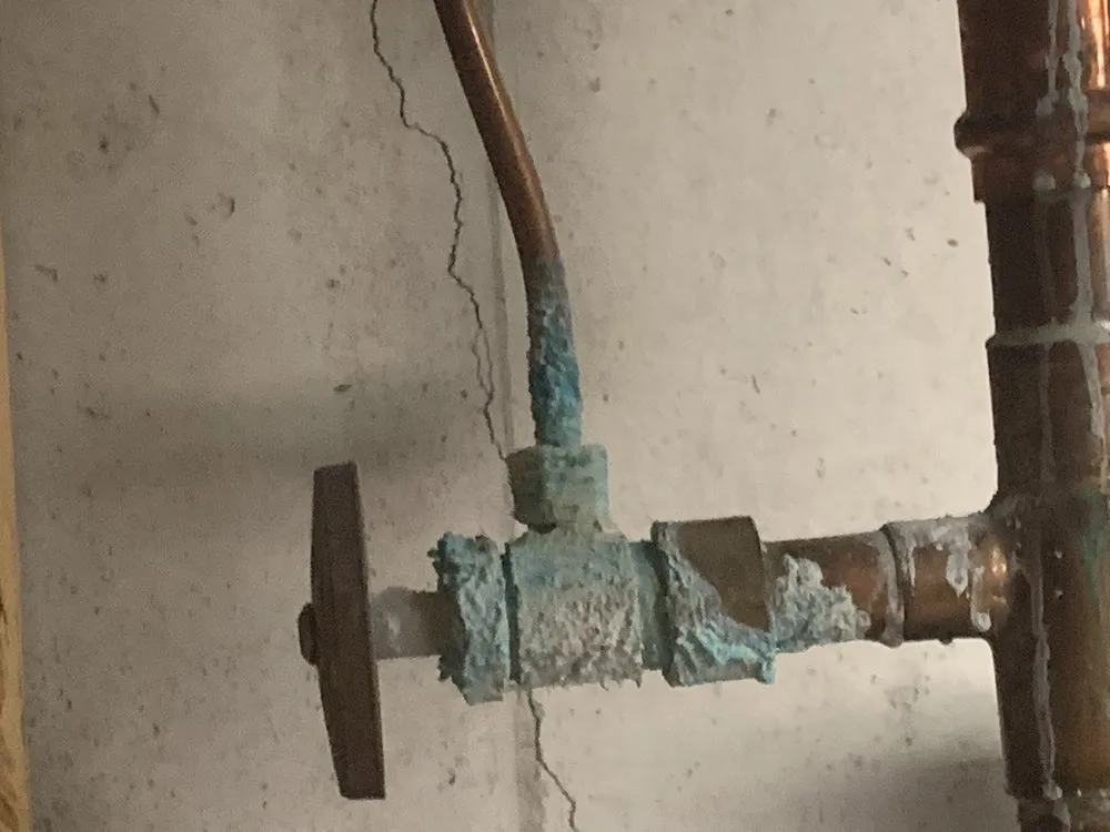 Slide of Purple Drains