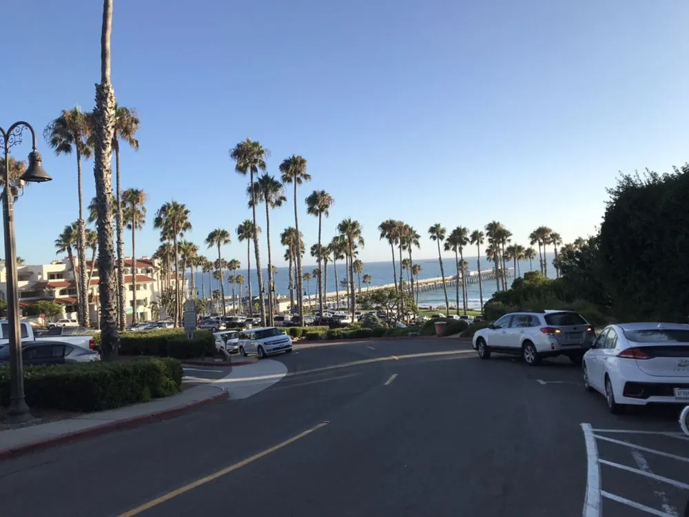 Slide of Purpose Driven Plumbing