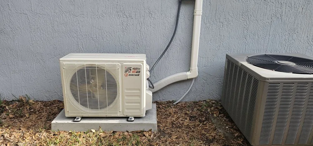 Slide of Purritos Company