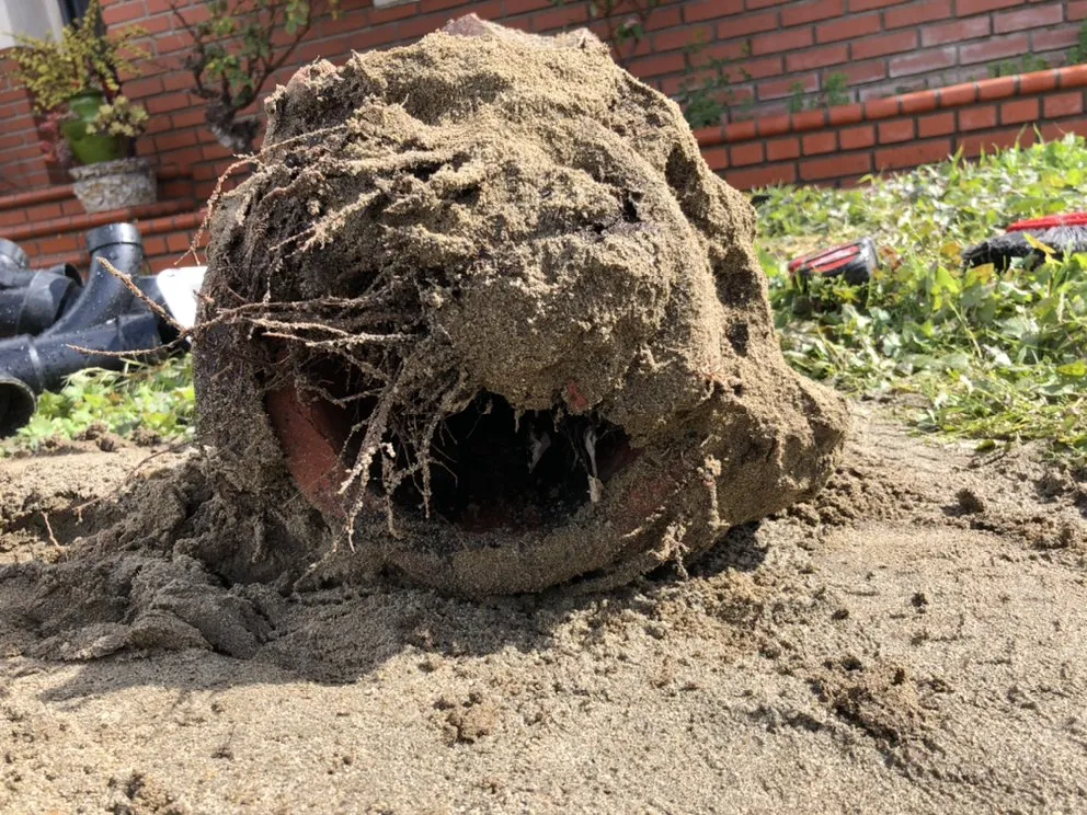 Reliable water heater service in Long Beach, CA by PVD Plumbing and Re-Pipe