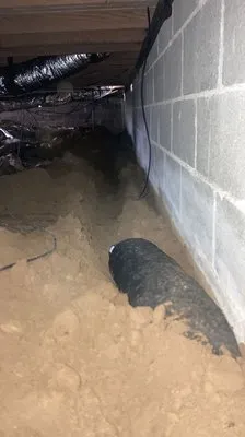 Q&M: Pressure Washing and Crawlspace