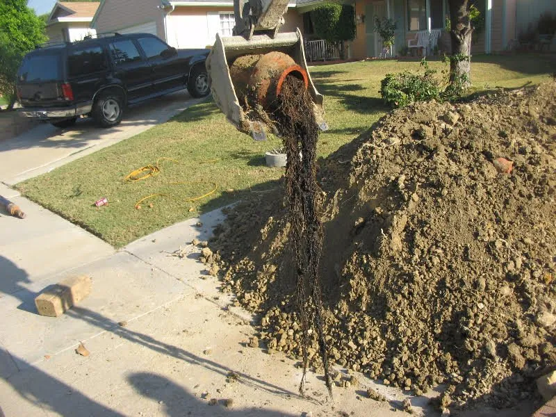 Slide of Quality Jet Rooter