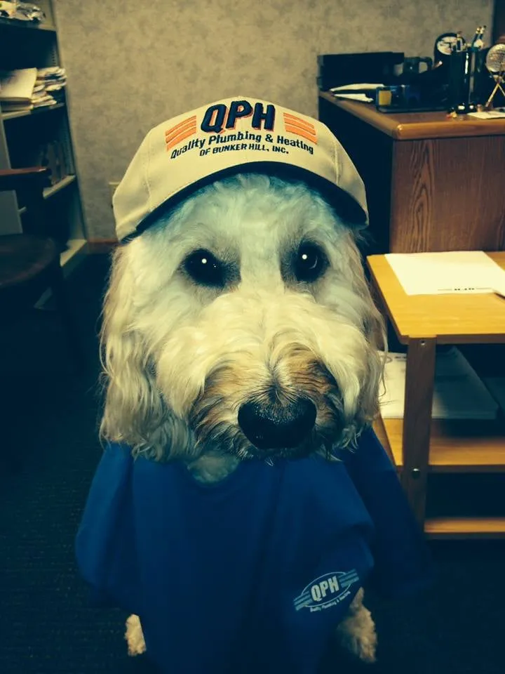 Top-rated emergency plumbing in Kokomo, IN by Quality Plumbing & Heating