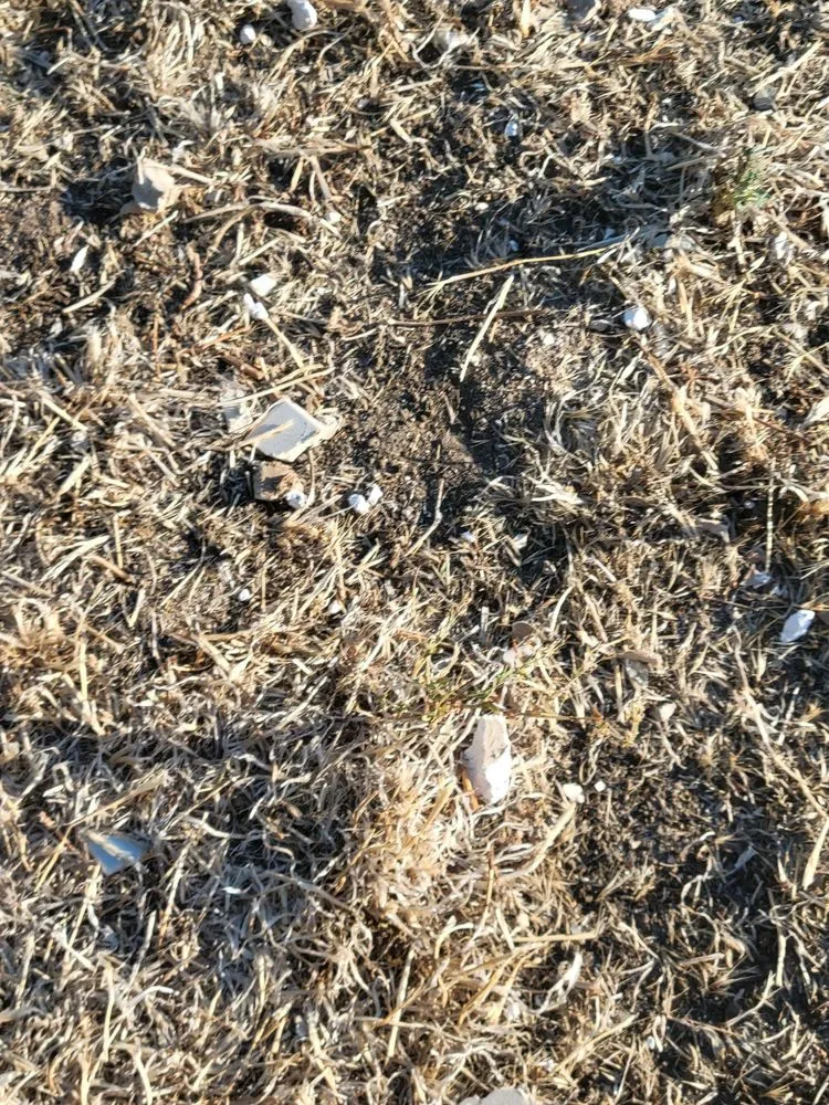 Slide of Quality Plumbing & Rooter