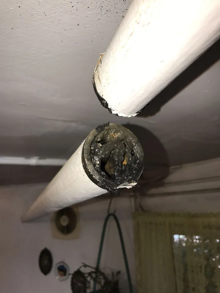 Affordable plumbing repair in Daly City, CA by Quality Plumbing and Drain Service