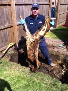 Affordable leak detection in Addison, IL by Quality Plumbing Services