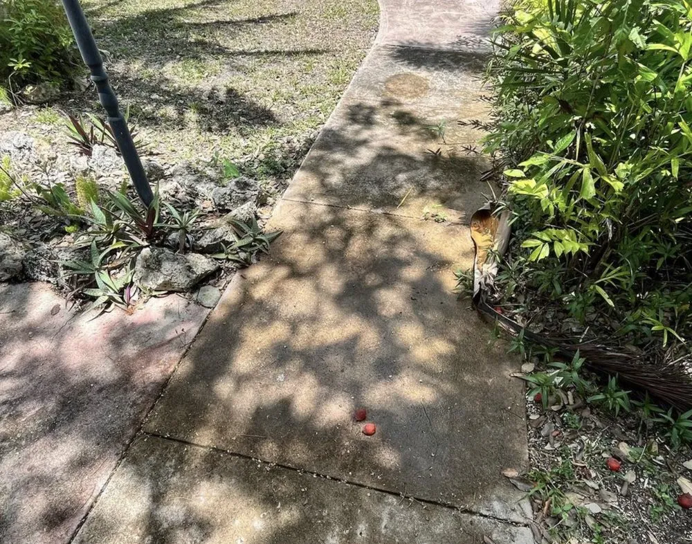 Top-rated plumbing repair for homes in Islamorada, FL by Quality Property Services