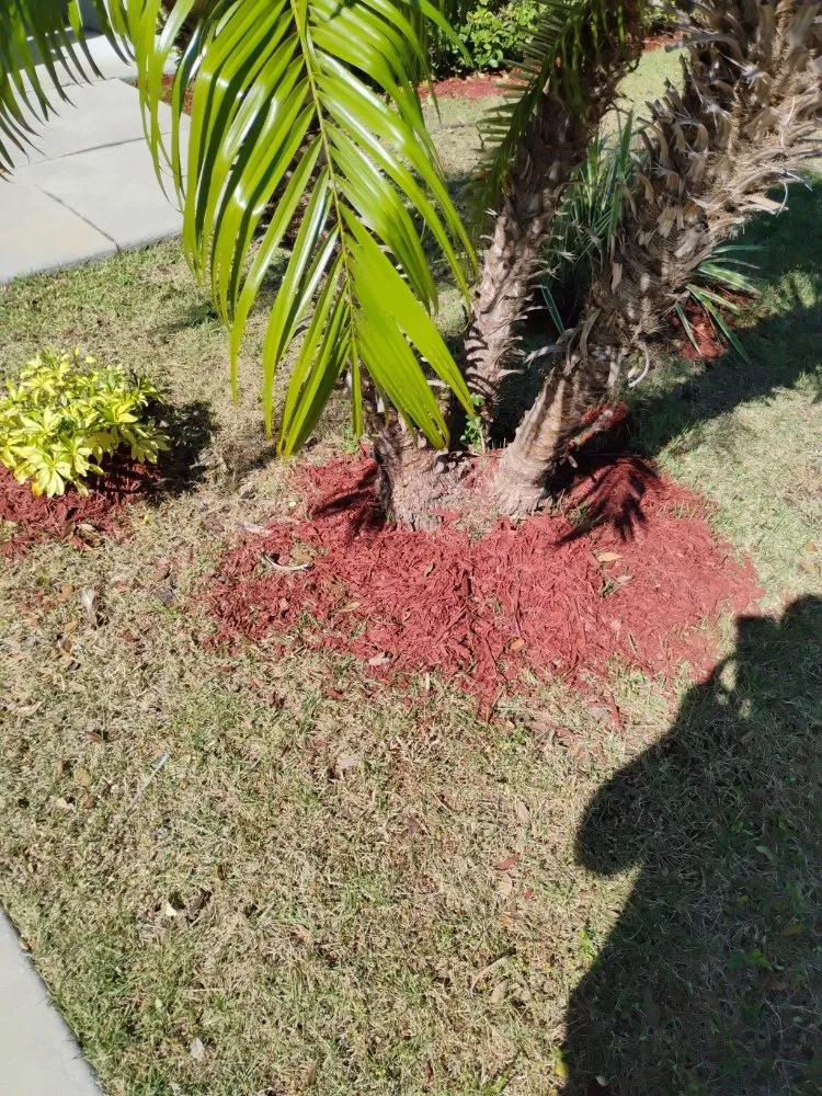 Slide of Quality Remodeling Solution