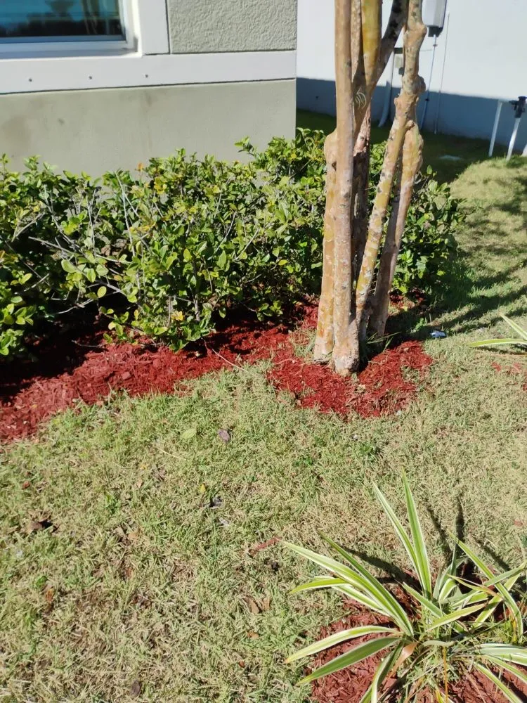 Slide of Quality Remodeling Solution