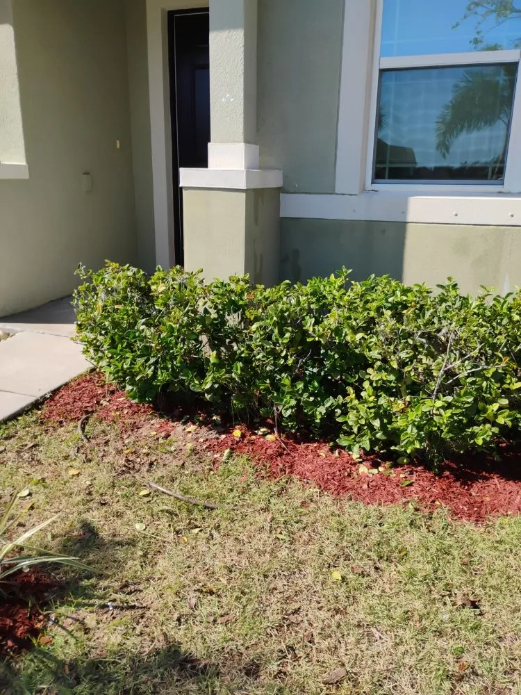 Trusted pipe repair experts serving Orlando, FL - Quality Remodeling Solution