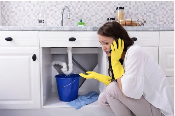 Quapro Plumbing Logo