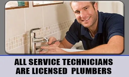 Queen Plumbing Logo