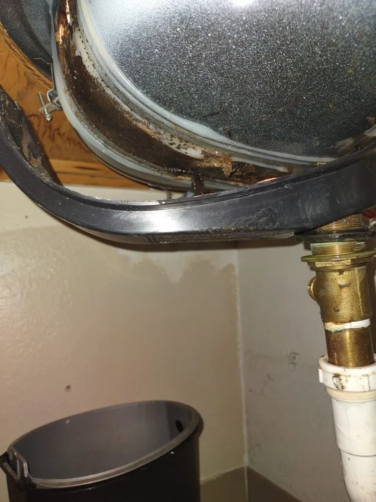 Trusted water heater service for homes in Colorado Springs, CO by Quick Drains Sewer and Drain