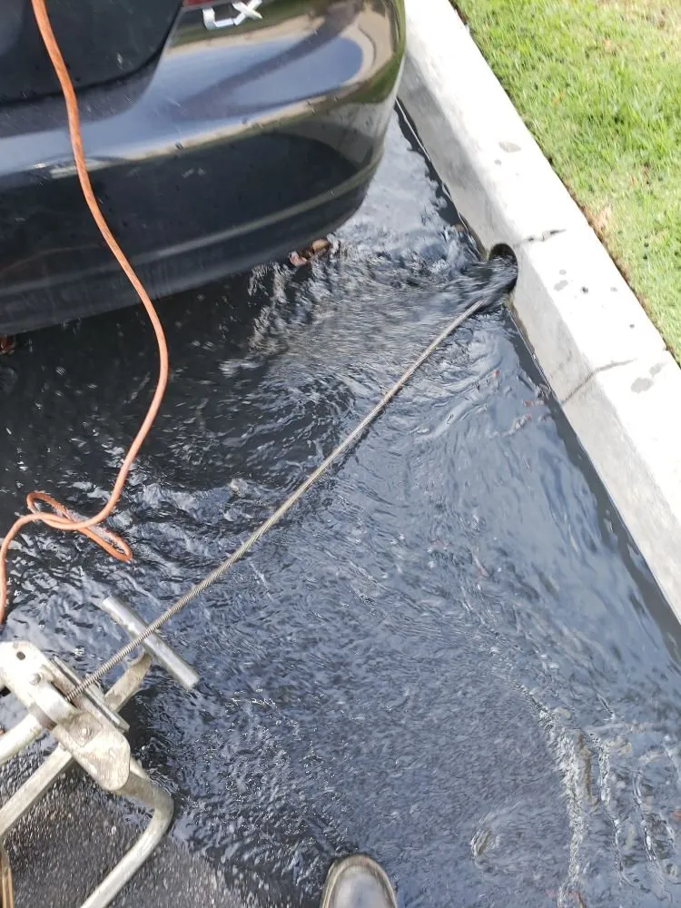 Slide of Quick Rooter