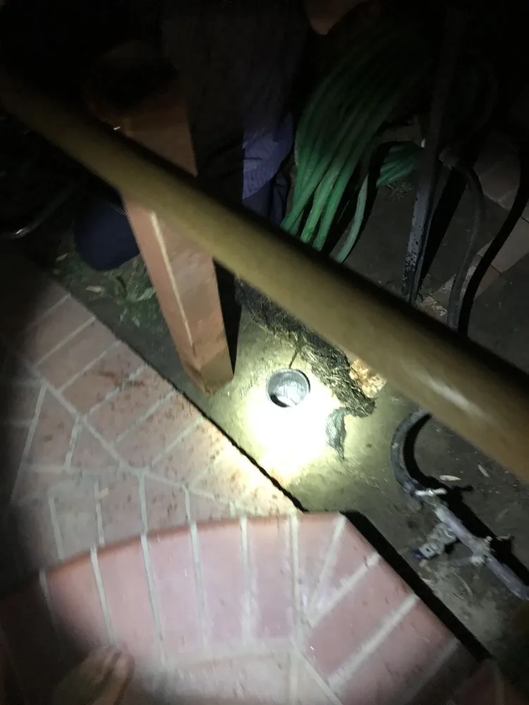 Slide of Quick Rooter