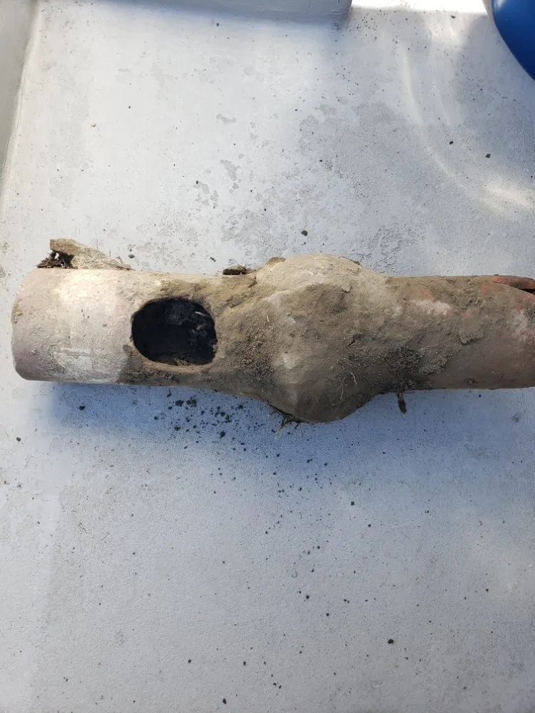 Slide of Quick Rooter